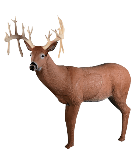 Rinehart COMPETITION 30 POINT BUCK