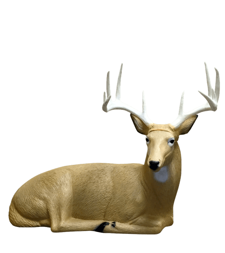 Rinehart COMPETTITION Bedded Buck