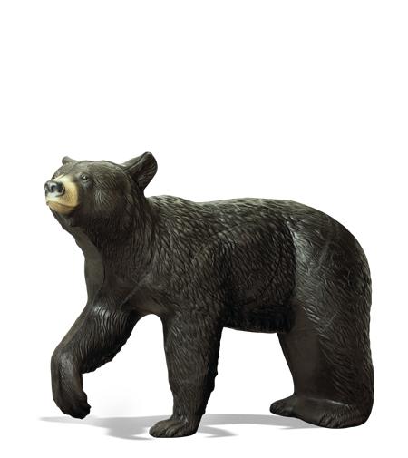 Large Black Bear Rinehart