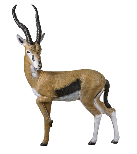 Gazelle Rinehart