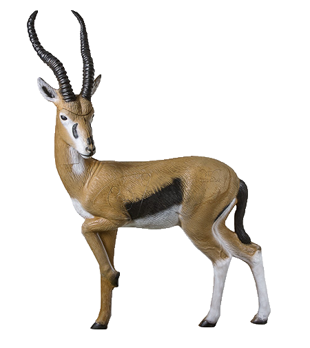 Rinehart COMPETITION Gazelle