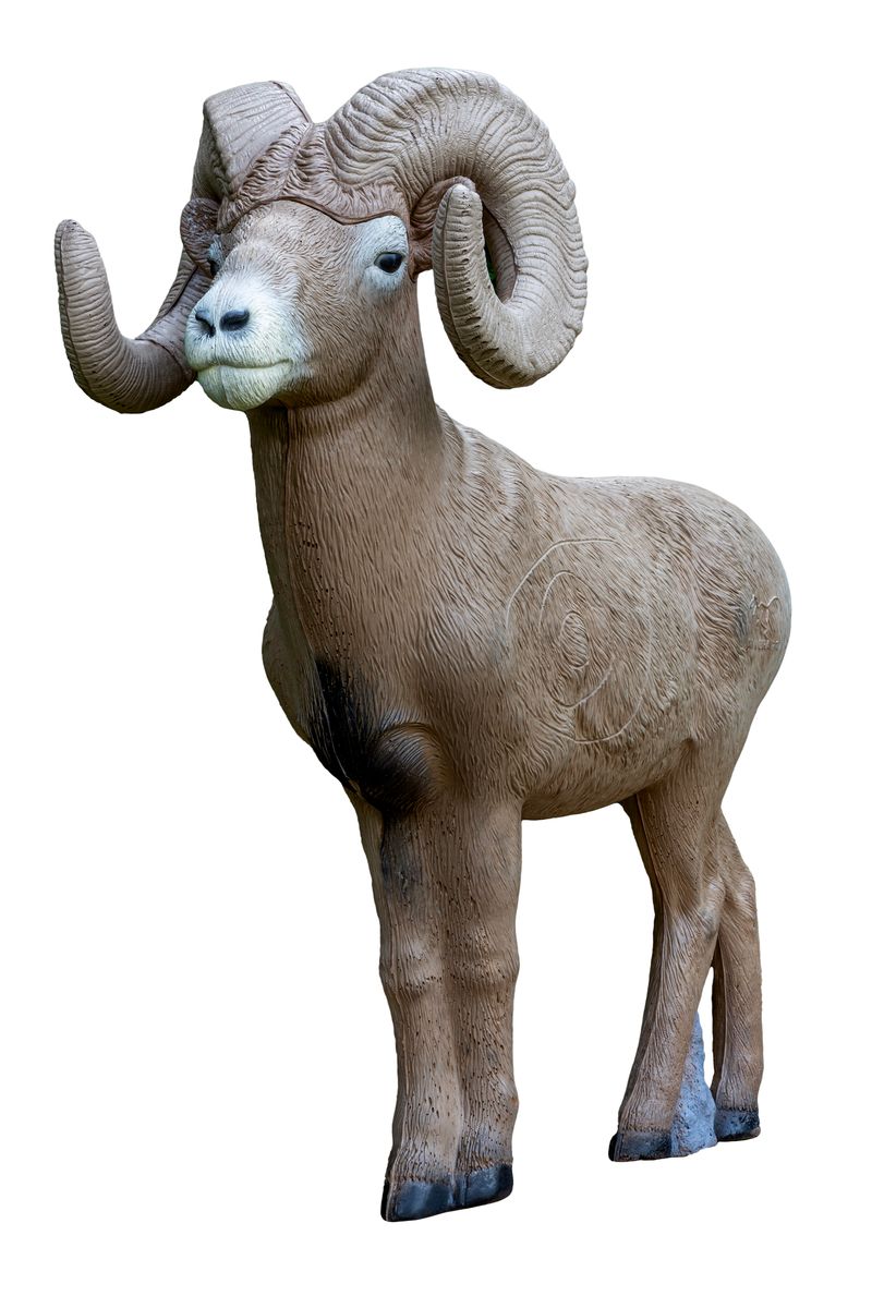 Rinehart SIGNATURE BIGHORN RAM