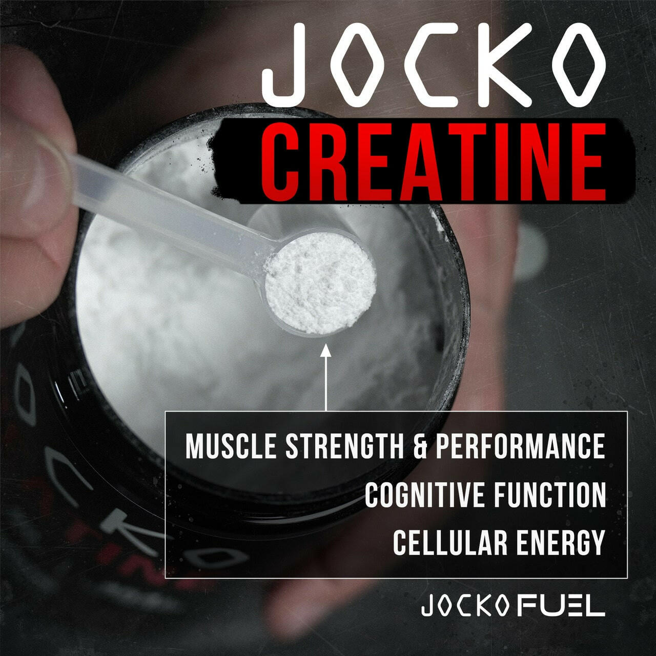 Jocko Fuel Creatine