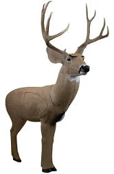 Rinehart SIGNATURE MULE DEER